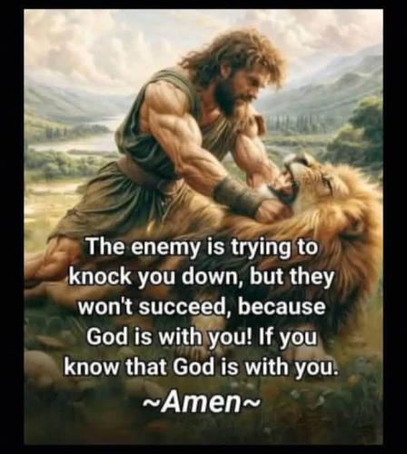 IMG_20251101_171429_494