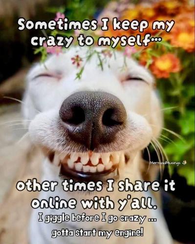 IMG_20251110_103426_419