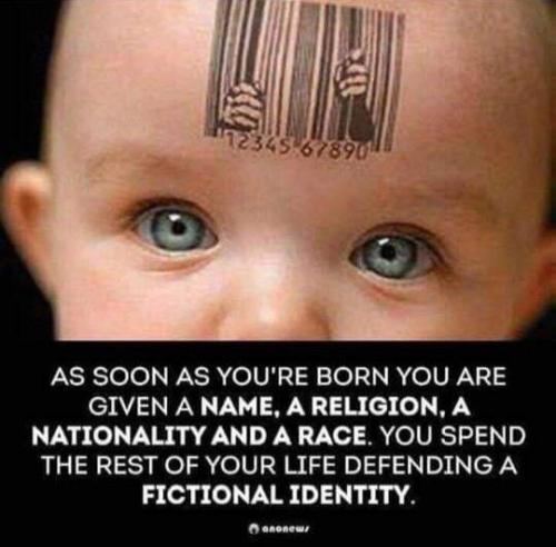 IMG_20251114_162351_643