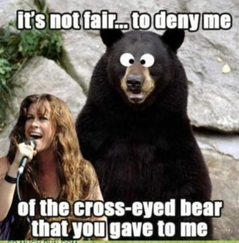 Screenshot_20251113_065210_Gallery