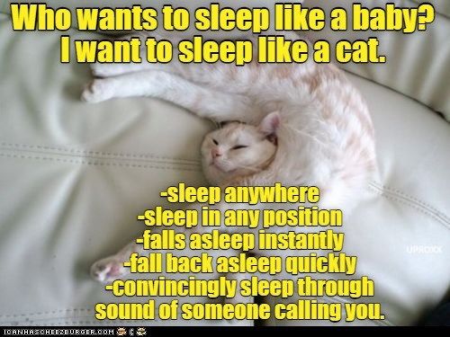 697f5f61a0090a7900b6fd7783199283