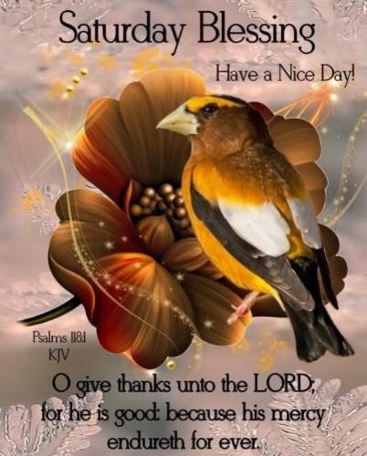 588634387_18032606669743683_6428192538278029913_n