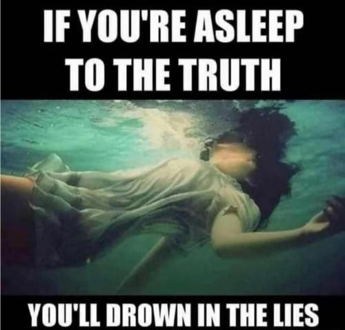 d6e708bb-a574-4417-bd69-8385b138a16a