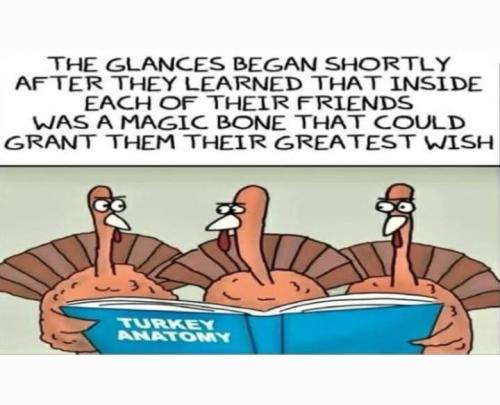 54CA1A2D-A4E9-4BE9-80A7-4A0A205B02D7-33264-0000113A64757C4F