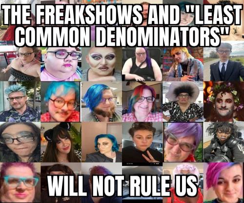 FB_IMG_1762445779642