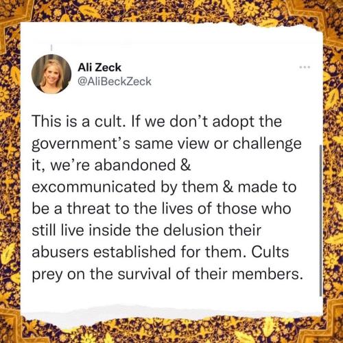 IMG_20251118_014054_453