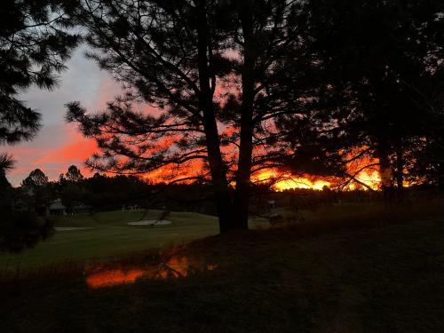 781CB57B-E2EE-413A-A897-F2BA037C2A1D