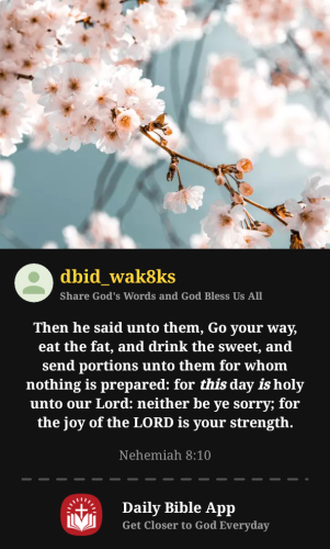 2025-11-281764359325541