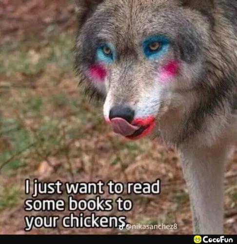 maga_108702efb69acf9848b5720eaefc521c