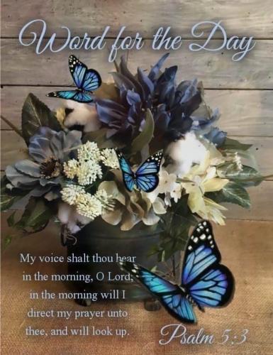 485983599_4492265220999915_2243327210469396246_n