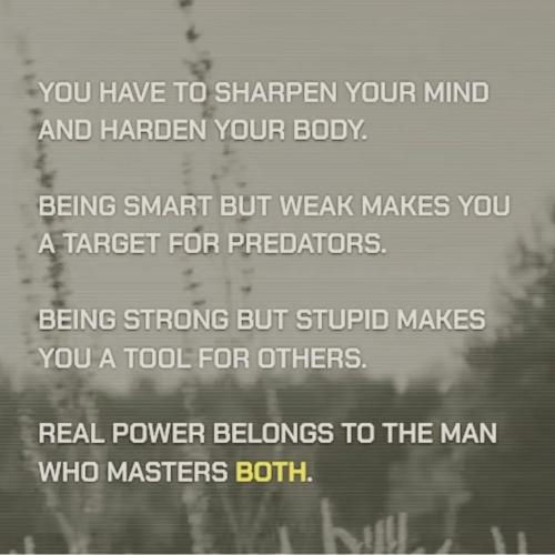 Screenshot_20251129_022643_Instagram