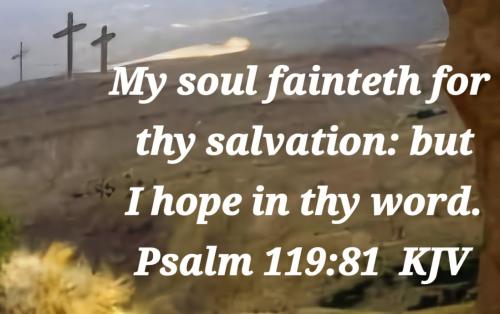 b5dd4718-641e-4235-87aa-6de5c6ca2b40