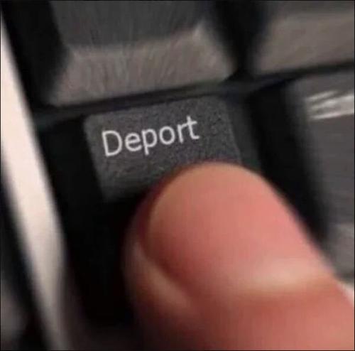 illegal immigration520