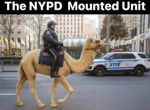 2255498c-dd42-4909-8d44-c9529bfc724f