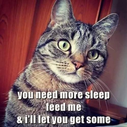 e3abf8a458a97fa4a5897a4df365b7f1