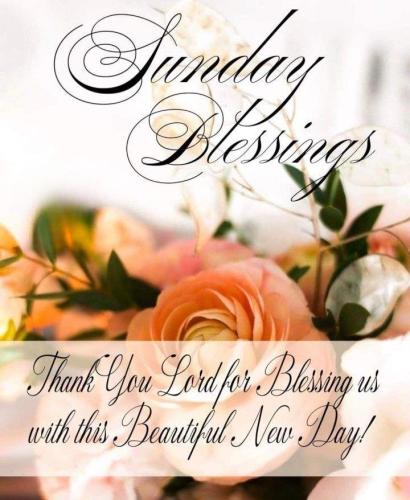 582180194_856959216838426_3148073430749271155_n