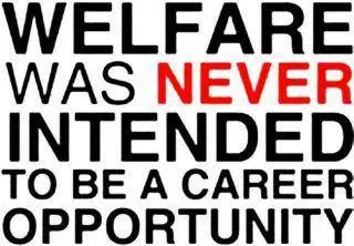 image_2025-11-11_064721930