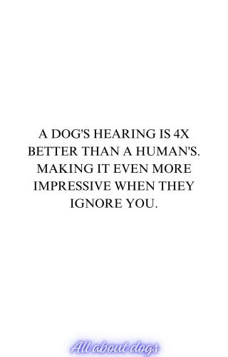 FB_IMG_1760538148334