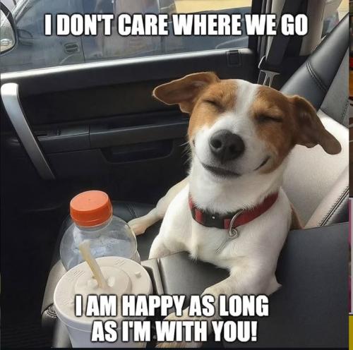 a2d2640129a0057877a3682687770eca