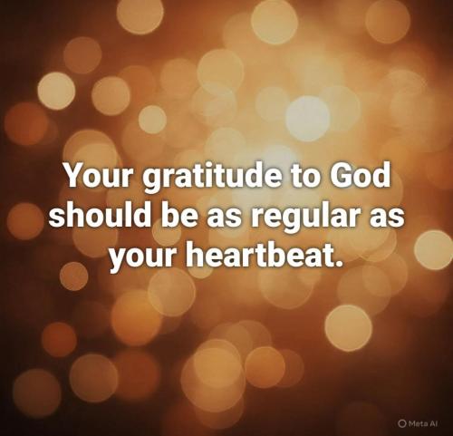 e79f9894-558c-43bf-81fd-4218ae051db0