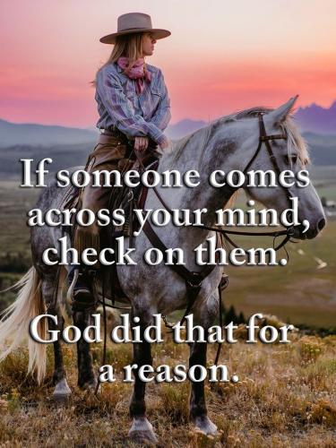 b578cf3203cf0d9cd57eeb77489e06ad