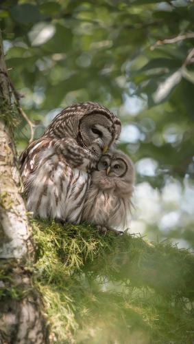 584731004_122129634644964308_6790103467292858269_n