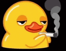 smoking-duck-stoner-duck