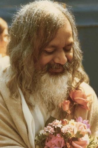 ,          ,  0424775766_746362