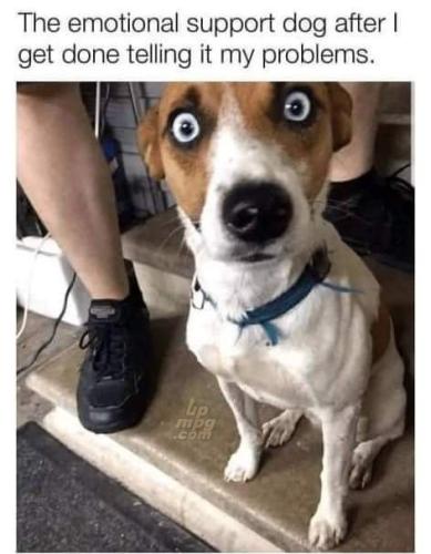 main-qimg-0e1dc459847456f364e8640b0fdaf1b7-lq