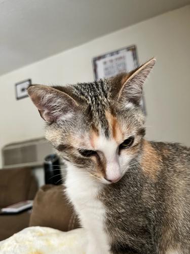 613578C8-F7C2-4858-95BA-5C3ED8BD3D4E