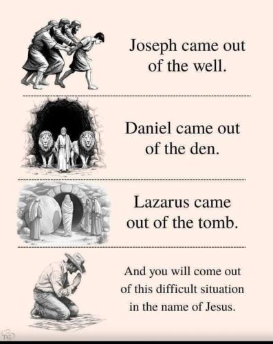 31656bf0e495195807e75d7a20e81d51