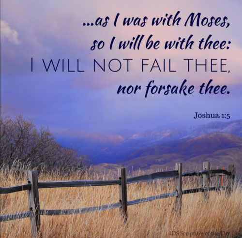 Screenshot_20251110-181935-049