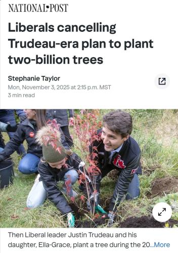 plant trees