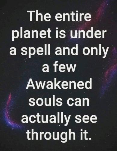 IMG_20251104_140336_879