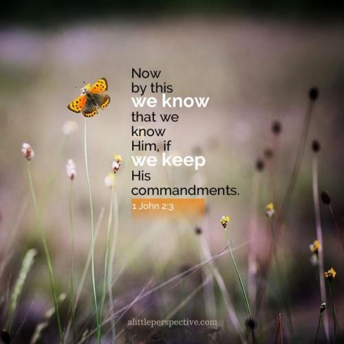 1-joh-2-3-pexels-9x-768x768