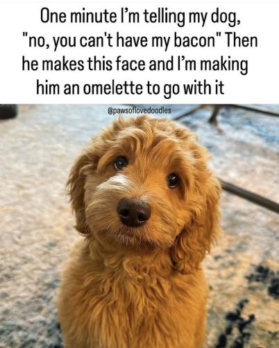 0b1eb9bf57c75b7d49e73d3a2de22fdf