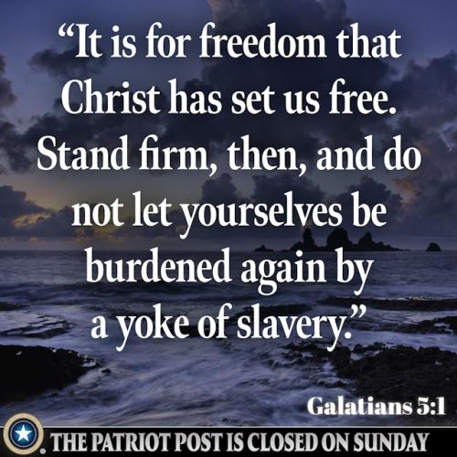 01K9G35QCYRPM6H6N49NRQ9EJQ