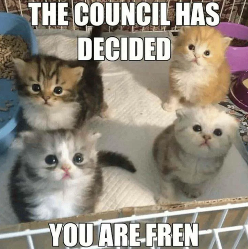 council-has-decided-are-fren