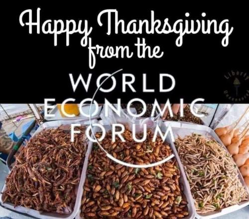 d6cf0f7e-d49f-4321-9169-0b04253b596a