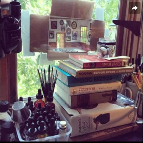 589817039_822934663685686_2531824802609221535_n