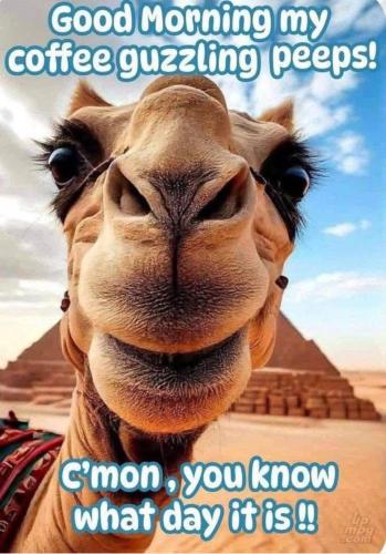 main-qimg-e9fbbbba1ea07634e81667e7de35f193