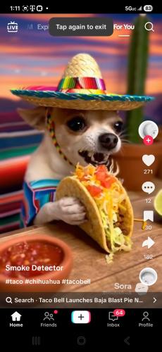 Screenshot_20251110_131136_TikTok