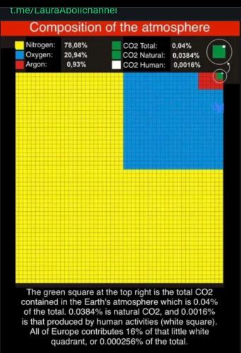 Screenshot_20251124_071324_Chrome (1)