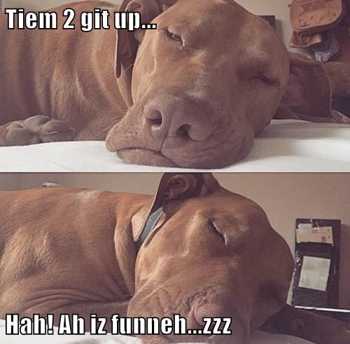 when-you-realize-its-saturday