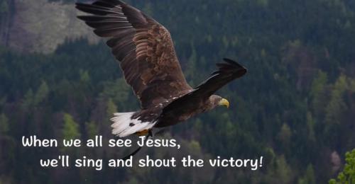 17278292434874573602