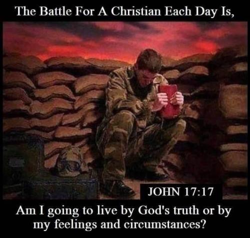 7e1741464463256e039ed4a26efb6e6a