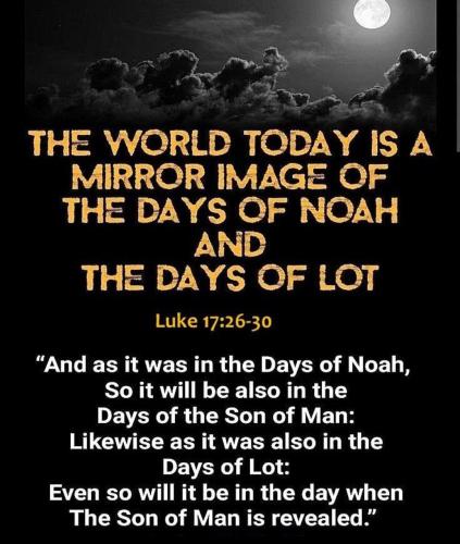 IMG_20251120_084804_387