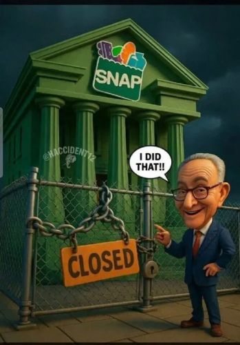 image_2025-11-09_093815184