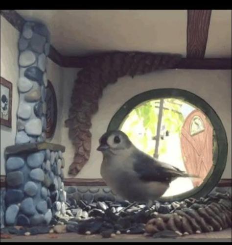 589362510_822934637019022_6515548772856888633_n