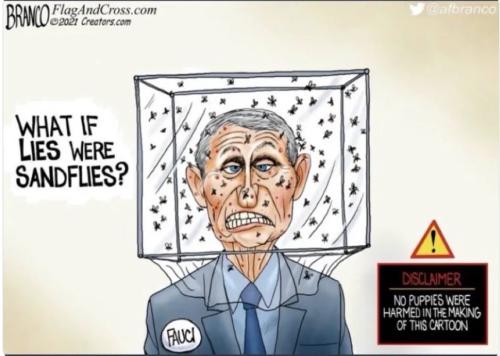 b303fc60-1a18-4a1a-a792-ad9d8715d304_940x670